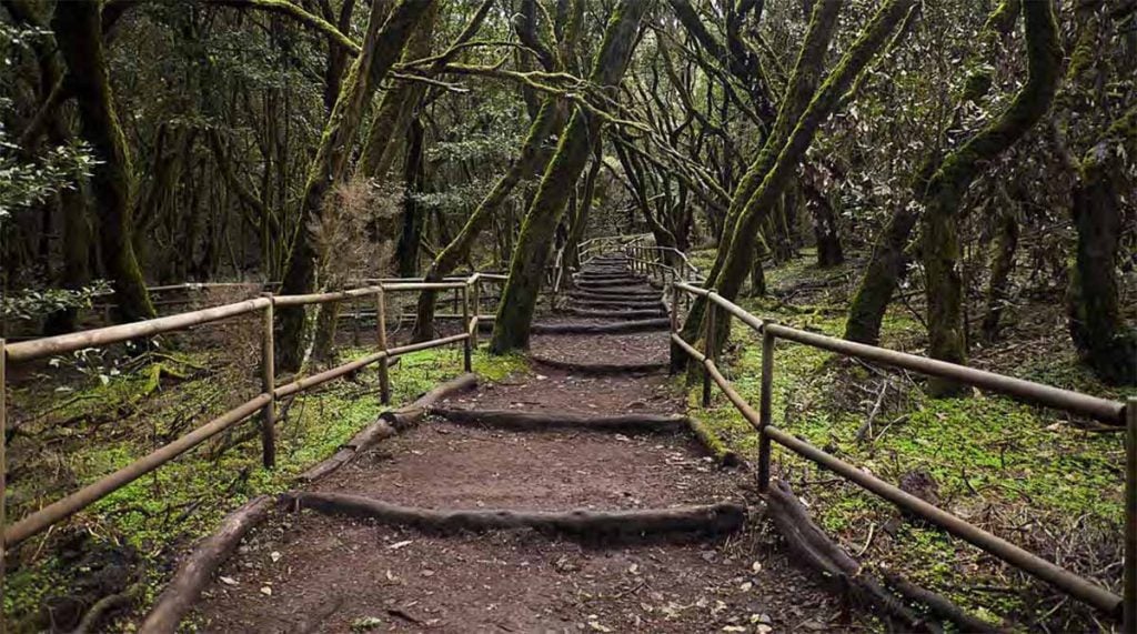 Lugares que no deberías visitar cuando cae la noche