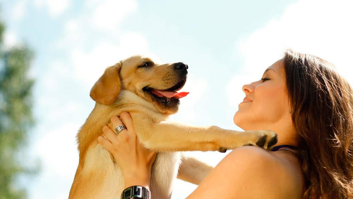 Viajar con perro: Perro con su dueña