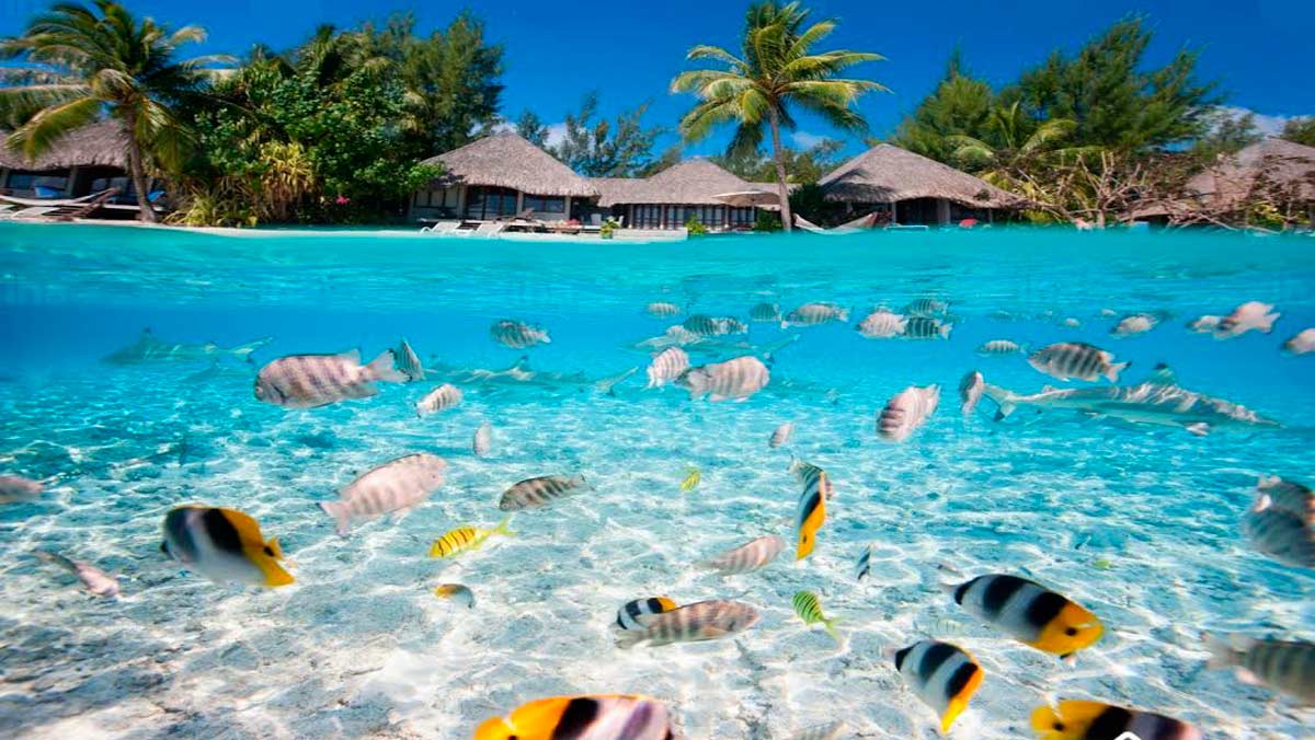 Viajar gratis a Tahití