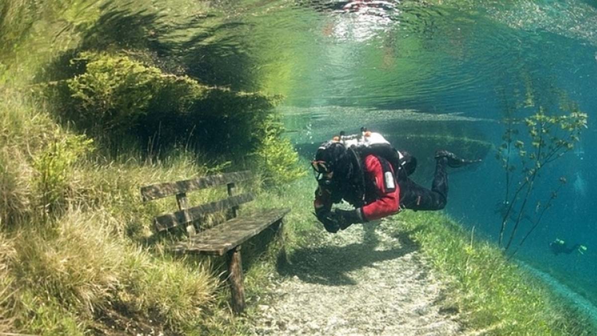 Grüner See, el increíble parque que se convierte en lago en primavera