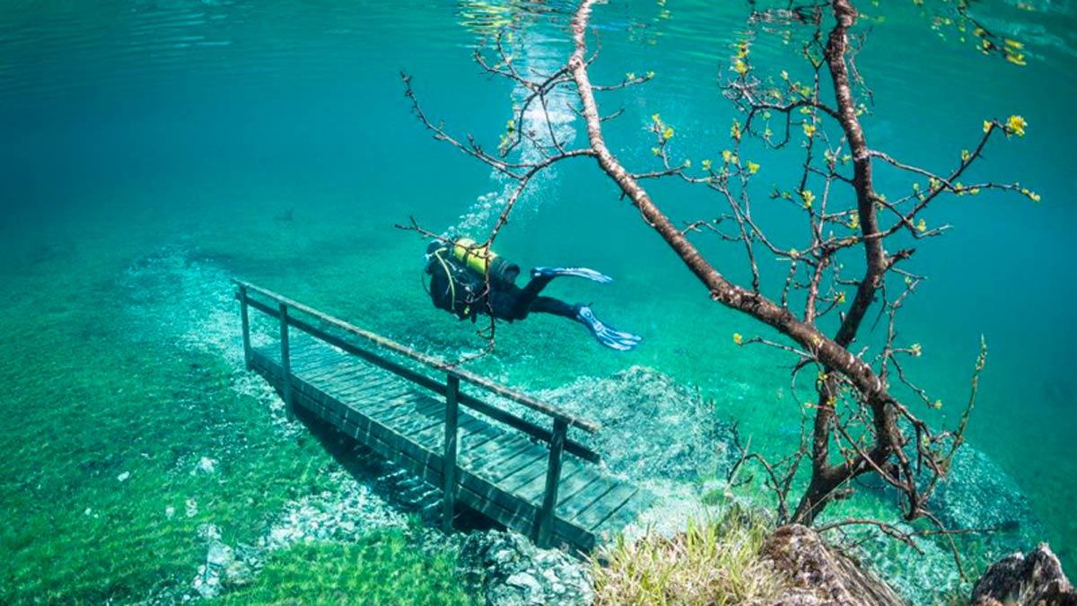 Un paseo diferente por el parque bajo el agua de Austria