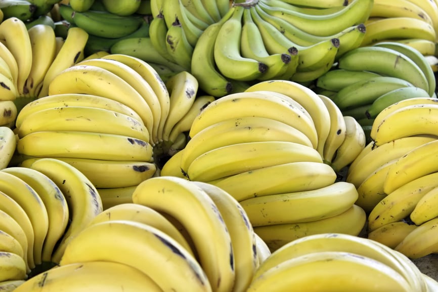 Bananas