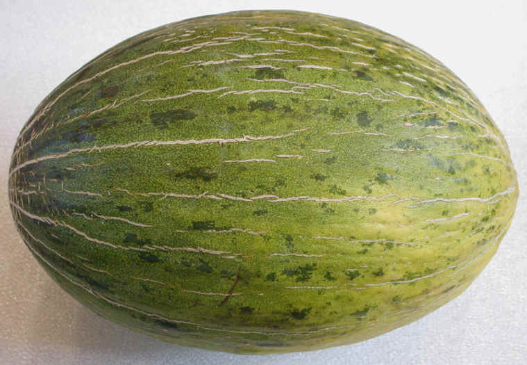 melon-santaclaus
