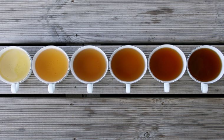 Tipos de té y propiedades del té