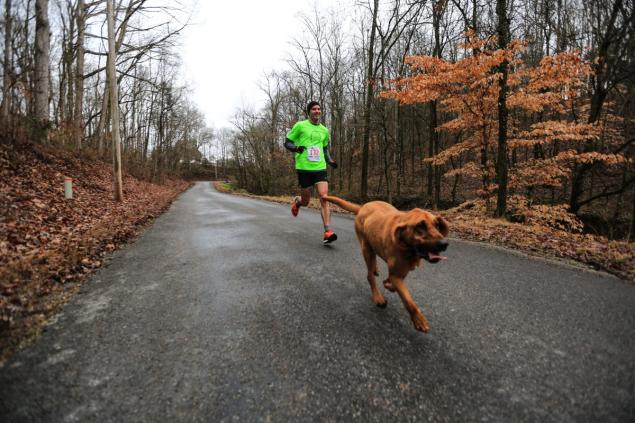El caso de Ludivine, la perra que acaba en 7º lugar en una media maratón