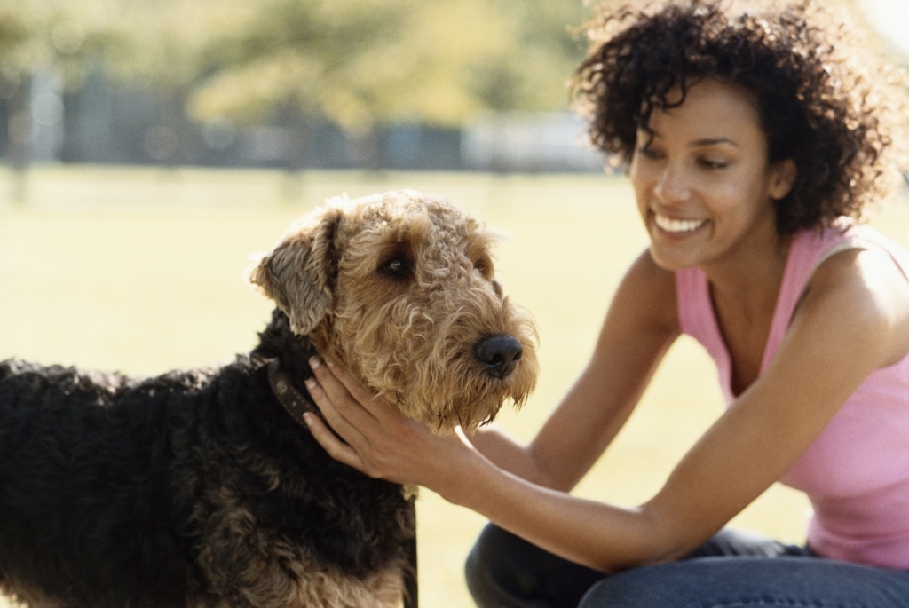 Cómo ayudan las mascotas a mejorar tu salud