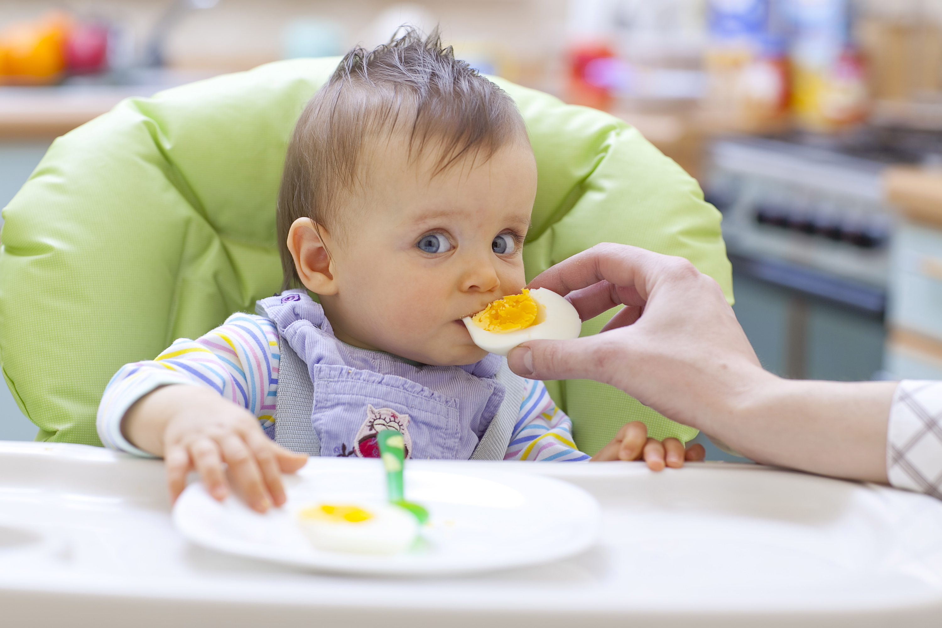 La introducción del huevo en la dieta de bebes reduce el riesgo de alergias