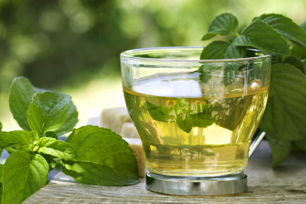 Bebidas para adelgazar: Té verde