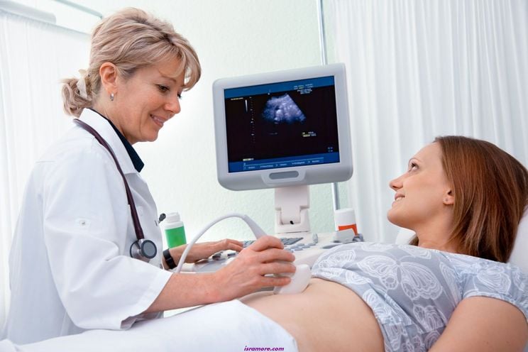 Resultado de imagen de ecografia persona embarazada