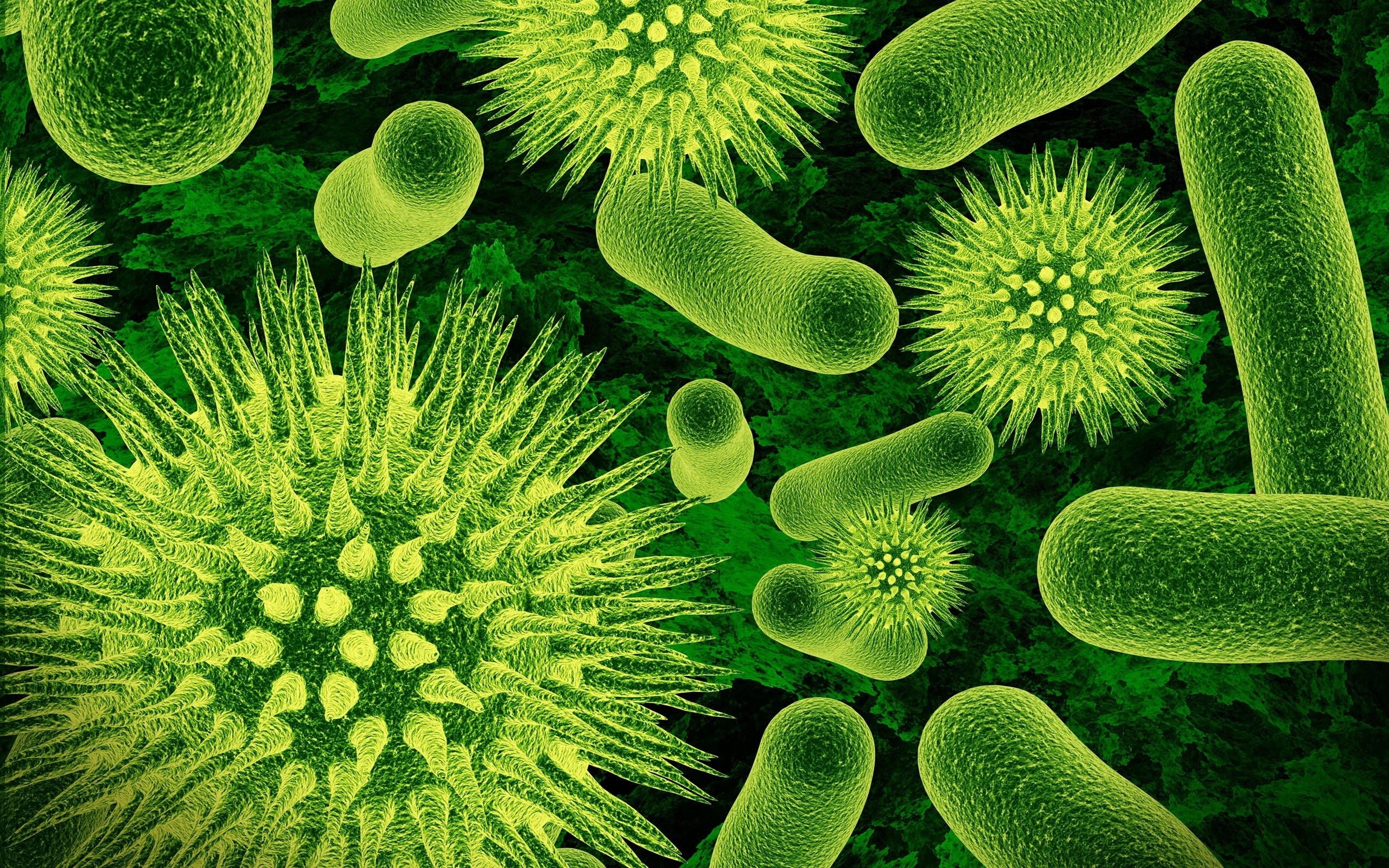 Diferencia entre virus y bacteria