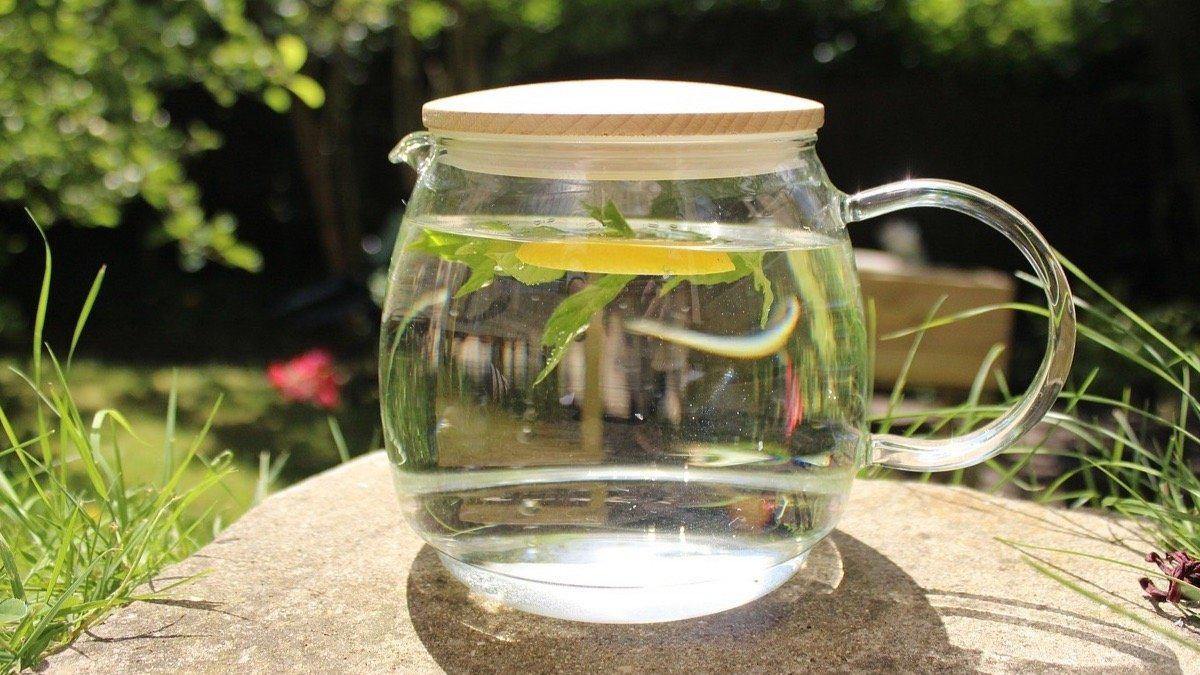 De alfalfa peso de capsulas bajar para