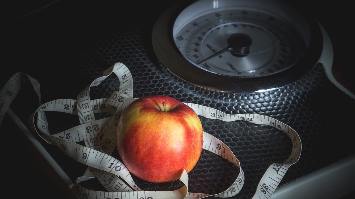 Magnesio alimentos se el que wikipedia encuentra en