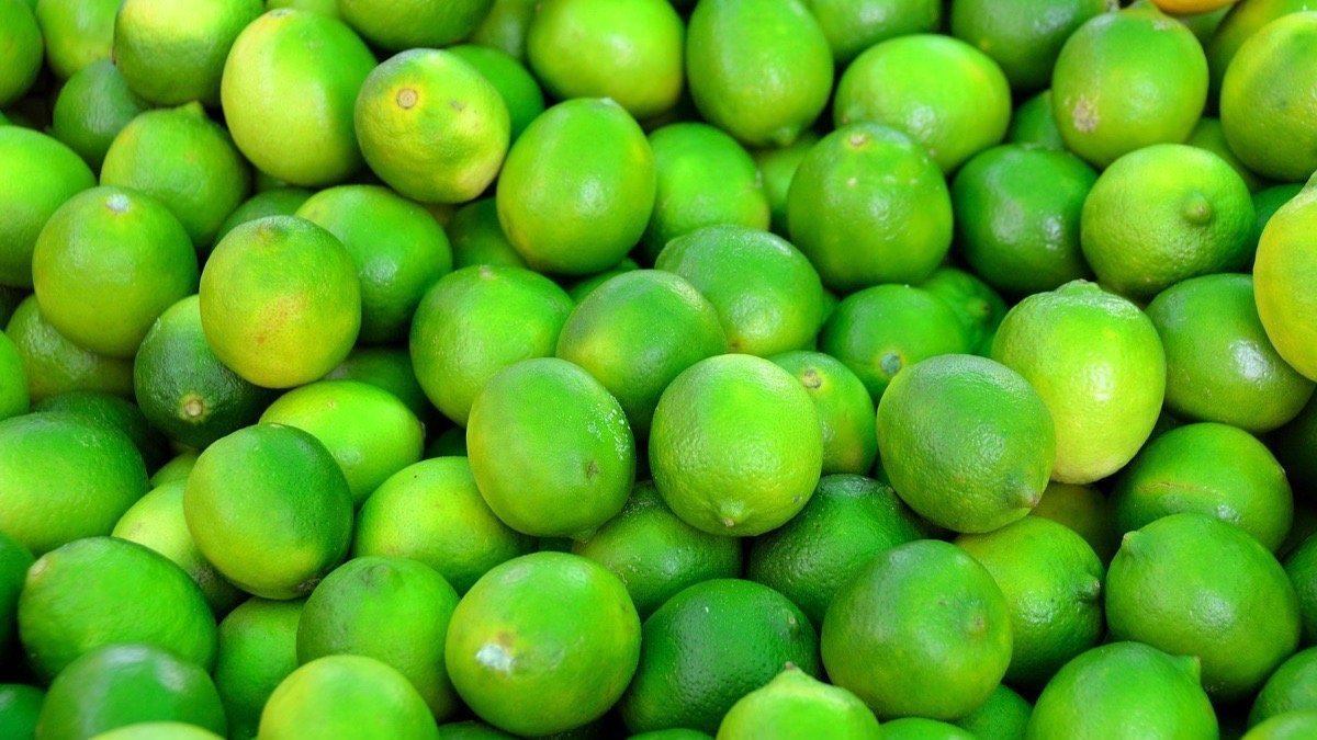 Exportaciones: fijan los valores de referencia para limones y limas