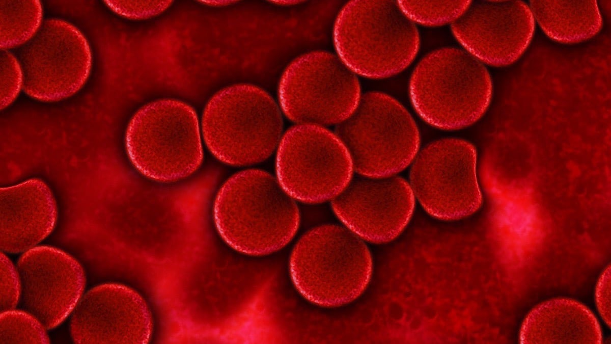 Hematíes ¿Qué son y cuáles son sus valores normales?