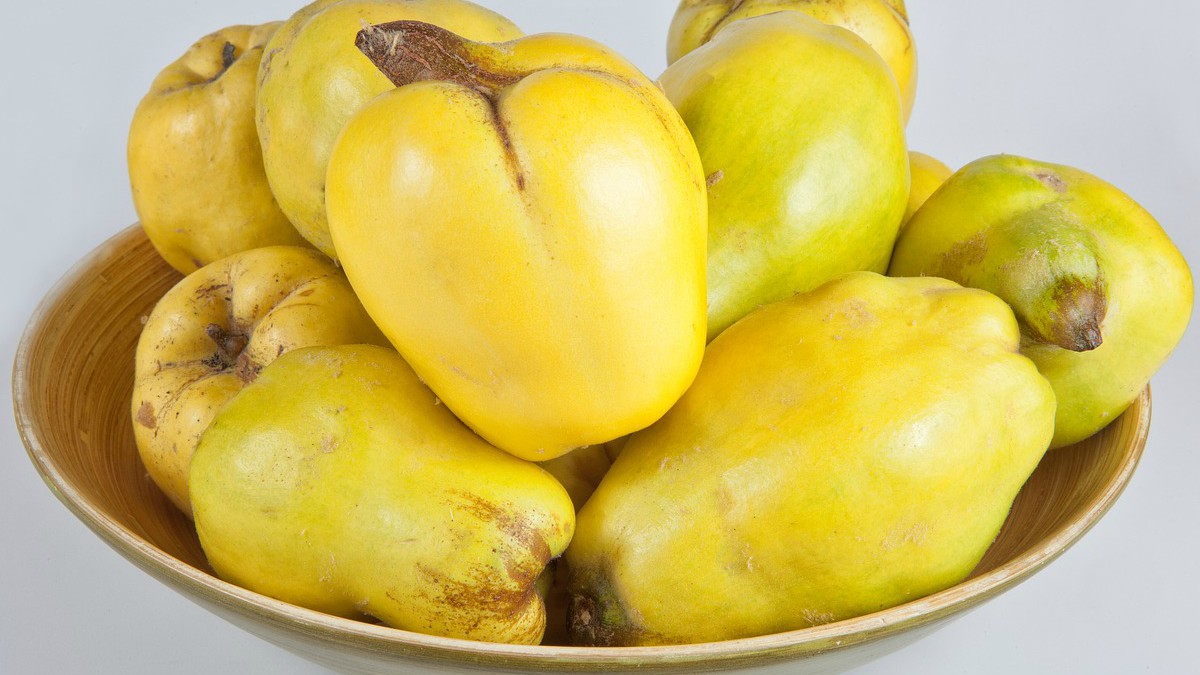 Propiedades del fruto membrillo Propiedades del fruto membrillo