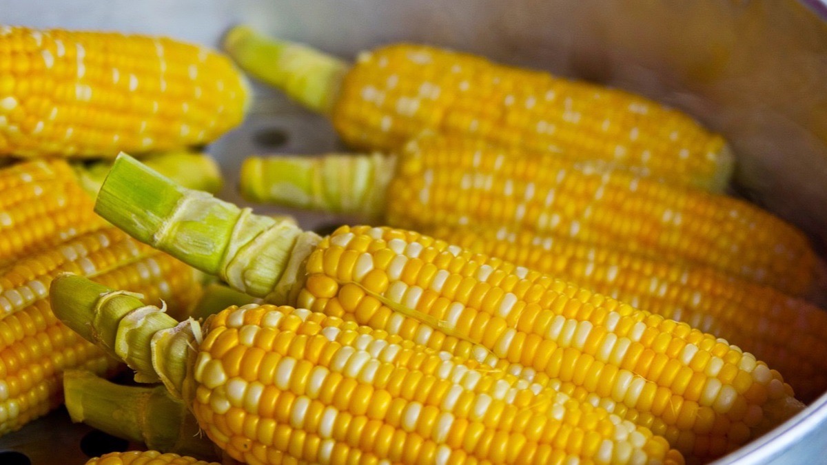 Palomitas de maíz: Propiedades y beneficios para la salud