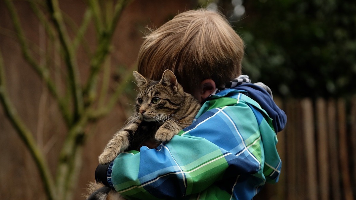 La gatoterapia puede ayudar a niños con autismo