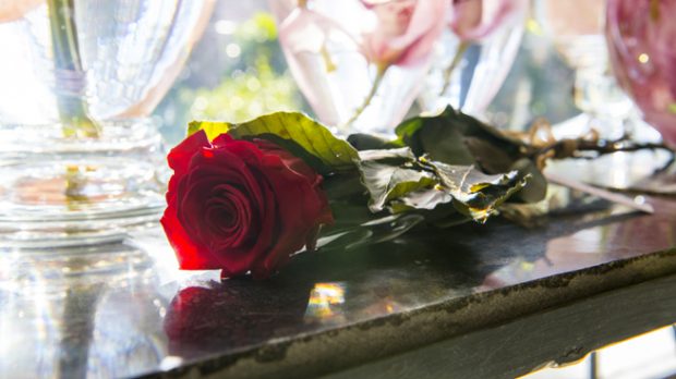 Flores, el regalo más romántico de San Valentín