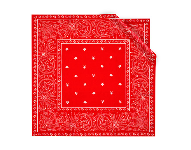 bandana dior