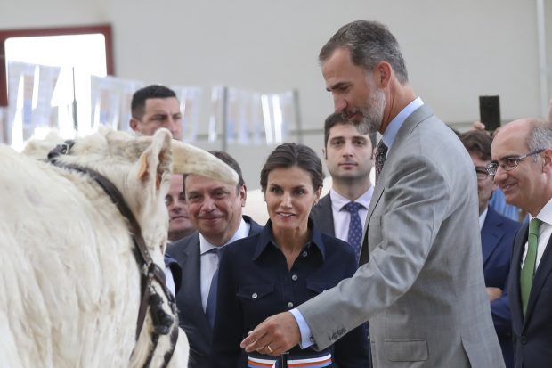 El Rey con uno de los animales / Gtres