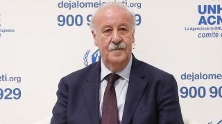 Vicente del Bosque / Gtres