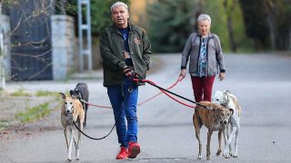 Jorge Javier Vázquez paseando a sus perros en compañía de su madre / Gtres