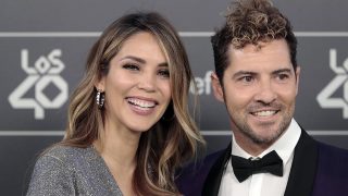 Bisbal y Rosanna Zanetti están profundamente felices /Gtres