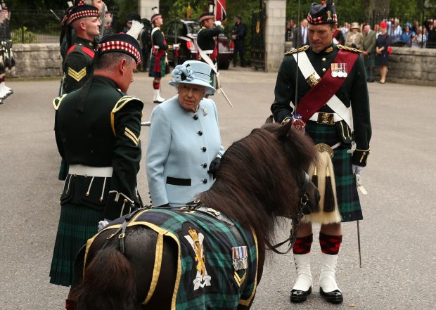 reina Isabel