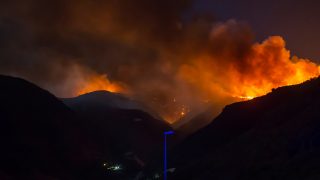 El incendio de Gran Canaria ha despertado la solidaridad de la gente / Gtres