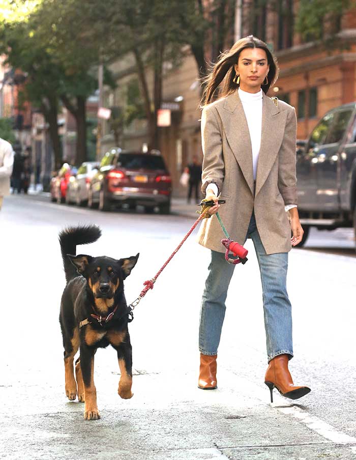 Emily Ratajkowski saca a su perro a pasear en la Gran Manzana