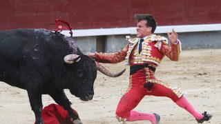 Gonzalo Caballero sufre una grave cornada en Las Ventas / Gtres