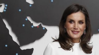 La reina Letizia durante la visita / Gtres