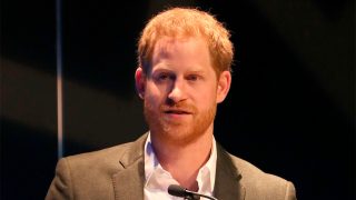 El príncipe Harry en un acto sobre una nueva plataforma de turismo ecológico / Gtres