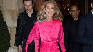 Celine Dion sorprende con un pintoresco ‘look’ en Nueva York/Gtres