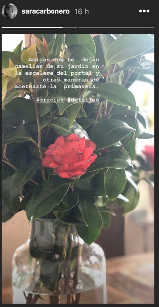 La periodista subió a las historias de la red social la flor que le había regalado, de forma inesperada, una de sus amigas / Imagen de Instagram @saracarbonero