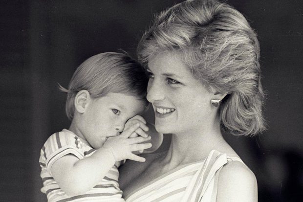 Diana Gales, Príncipe Harry