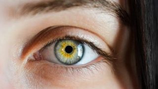 ¿Qué es el trasplante de cejas? Contamos todas las claves