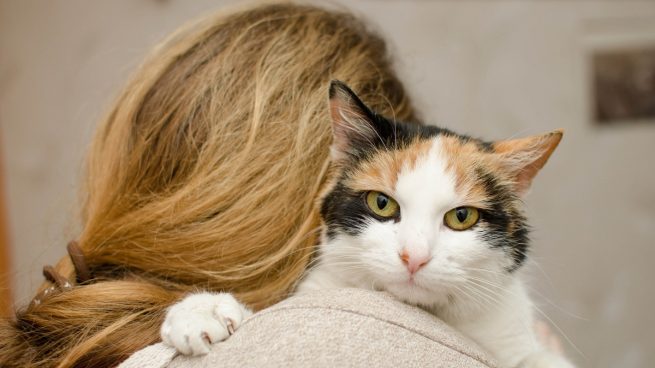 Por qué las mujeres solteras prefieren la compañía de los gatos