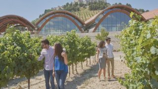 Enoturismo: ¿por qué visitar La Rioja este otoño?
