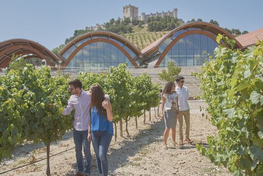 Enoturismo: ¿por qué visitar La Rioja este otoño?