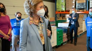 La reina Sofía en el Banco de Alimentos de Ciudad Real / Gtres