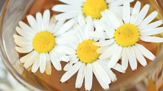 Infusiones naturales para entrar en calor