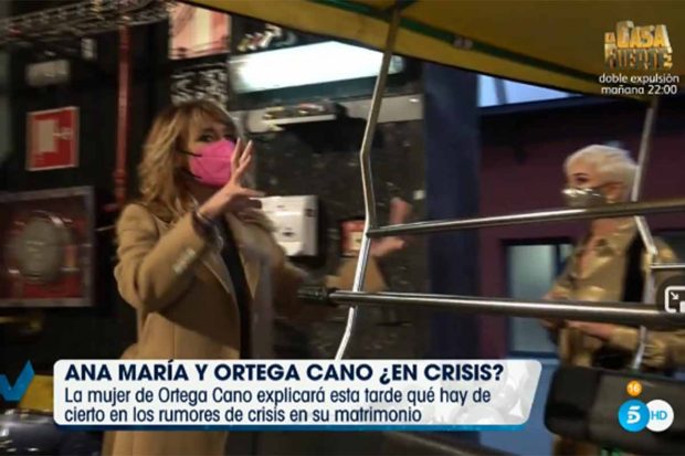 Ana María Aldón en 'Viva la vida'./Telecinco