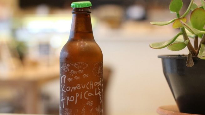 kombucha