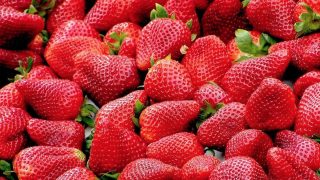 Fresas