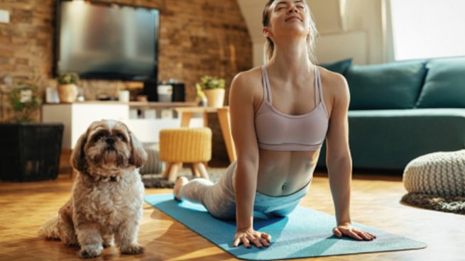 Pierde peso y disfruta de tu mascota, estos son los mejores deportes para practicar con perros