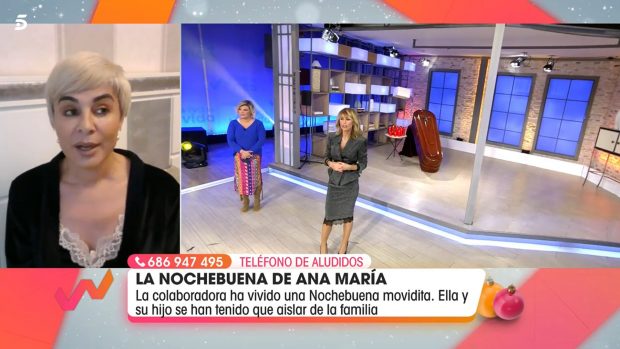 Ana María Aldón en una videollamada / Telecinco