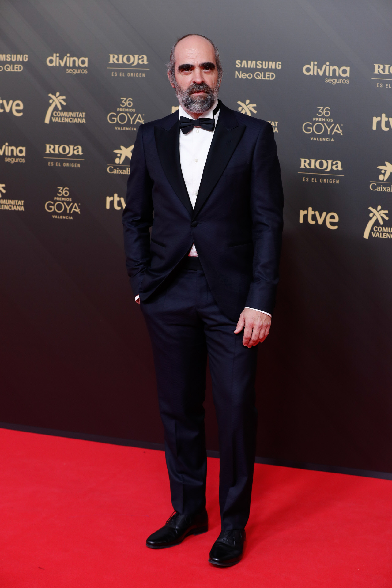 Luis Tosar, en la alfombra roja de los Premios Goya 2022