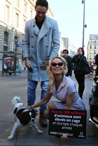 Pamela Anderson con un perro / Gtres