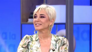 Ana María Aldón en ‘Viva la vida’ / Telecinco